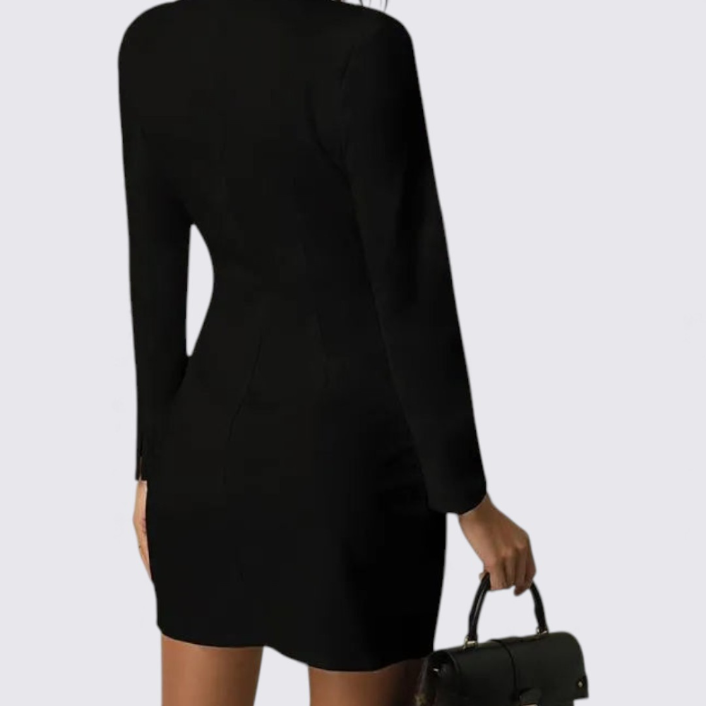 Women's Dress with V-Neck – Long Sleeves – Button Closure