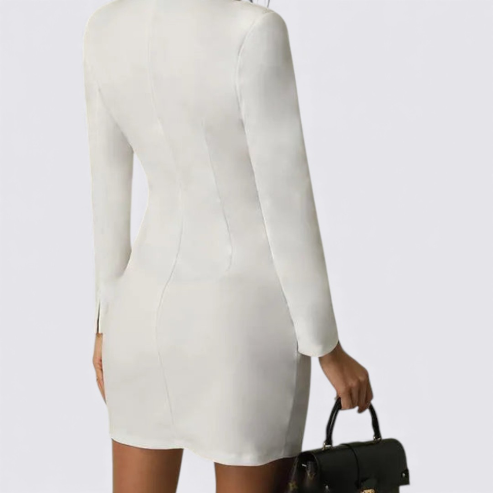 Women's Dress with V-Neck – Long Sleeves – Button Closure